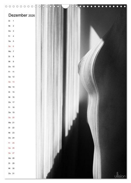 Produktbild: Akt abstrakt (Wandkalender 2026 DIN A3 hoch), CALVENDO Monatskalender