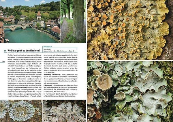 Produktbild: Flechten der Schweiz