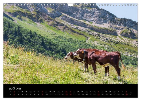 Produktbild: HAUTE-SAVOIE, une r&eacute;gion o&ugrave; il fait bon vivre (Calendrier mural 2026 DIN A3 vertical), CALVENDO calendrier mensuel