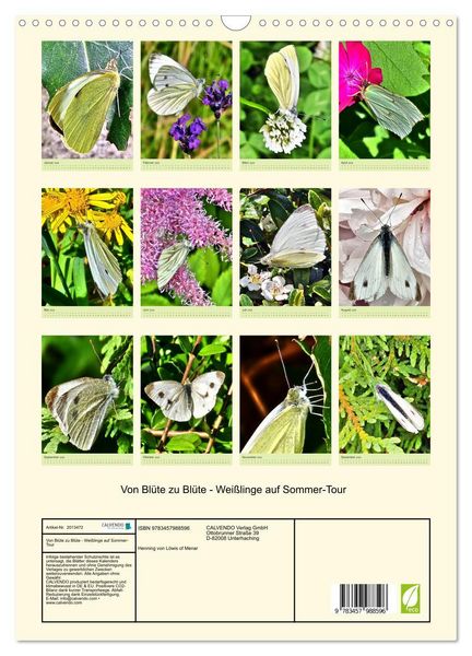Produktbild: Von Bl&uuml;te zu Bl&uuml;te - Wei&szlig;linge auf Sommer-Tour (Wandkalender 2026 DIN A3 hoch), CALVENDO Monatskalender