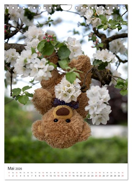 Produktbild: Travelling Teddy liebt Blumen und Bl&uuml;ten (Wandkalender 2026 DIN A4 hoch), CALVENDO Monatskalender