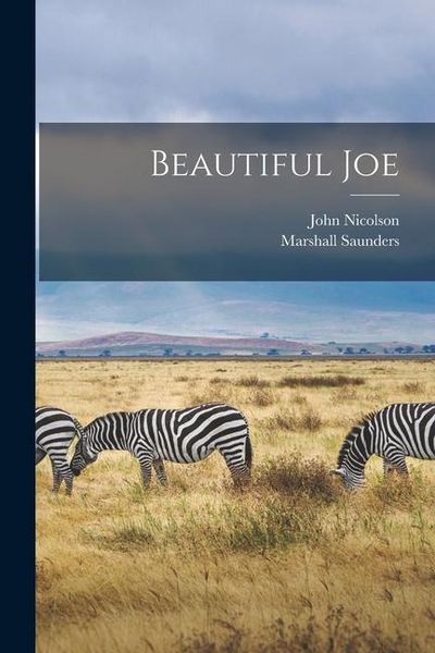 Produktbild: Beautiful Joe