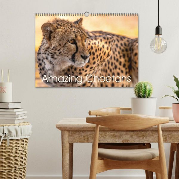 Produktbild: Amazing Cheetahs (Wall Calendar 2026 DIN A3 landscape), CALVENDO 12 Month Wall Calendar