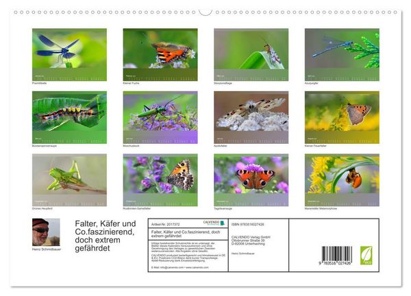 Produktbild: Falter, K&auml;fer und Co.faszinierend, doch extrem gef&auml;hrdet (hochwertiger Premium Wandkalender 2026 DIN A2 quer), Kunstdruck in Hochglanz