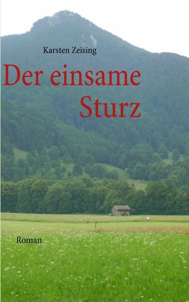 Produktbild: Der einsame Sturz
