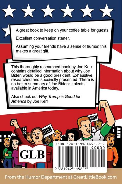 Produktbild: Why Biden is Good for America