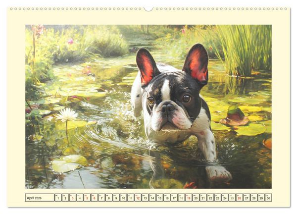 Produktbild: Fledermaus Alarm. Franz&ouml;siche Bulldoggen in der Natur (hochwertiger Premium Wandkalender 2026 DIN A2 quer), Kunstdruck in Hochglanz