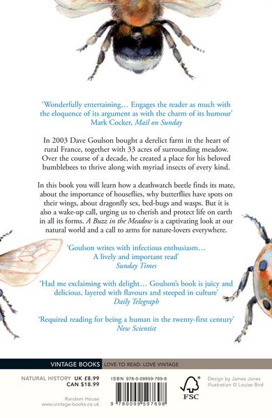 Produktbild: A Buzz in the Meadow