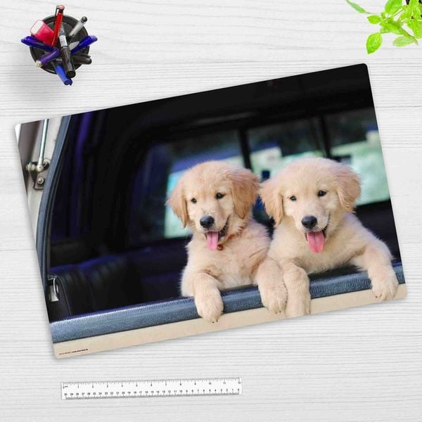 Produktbild: Cover-your-desk Schreibtischunterlage f&uuml;r Kinder und Erwachsene Golden Retriever Welpen, aus hochwertigem Vinyl , 60 x 40 cm