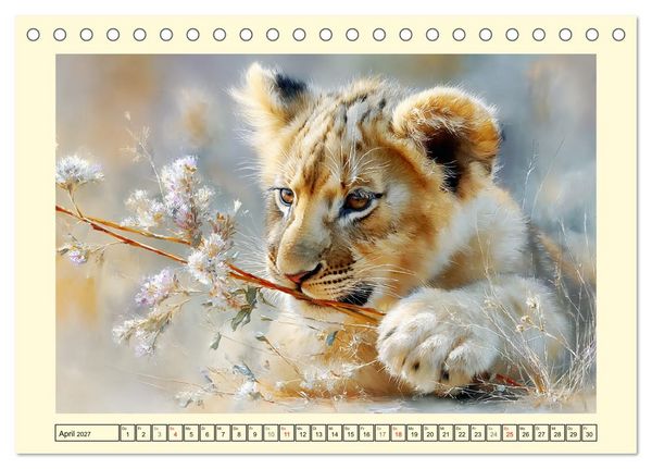Produktbild: L&ouml;wenkinder. Afrikas kleine K&ouml;nige (Tischkalender 2027 DIN A5 quer), CALVENDO Monatskalender
