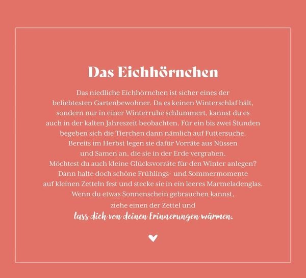 Produktbild: Kleine Wunder in meinem Garten