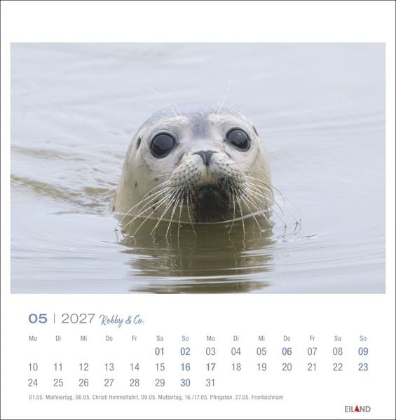 Produktbild: Robby & Co. Postkartenkalender 2027