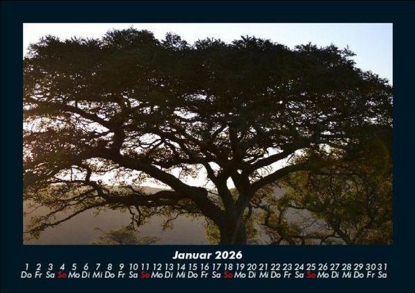 Produktbild: B&auml;ume 2026 Fotokalender DIN A5