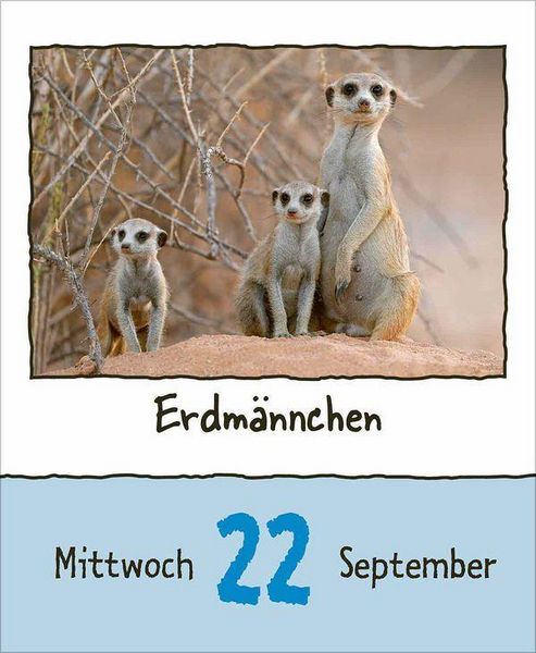 Produktbild: Tierisch unterwegs 2027