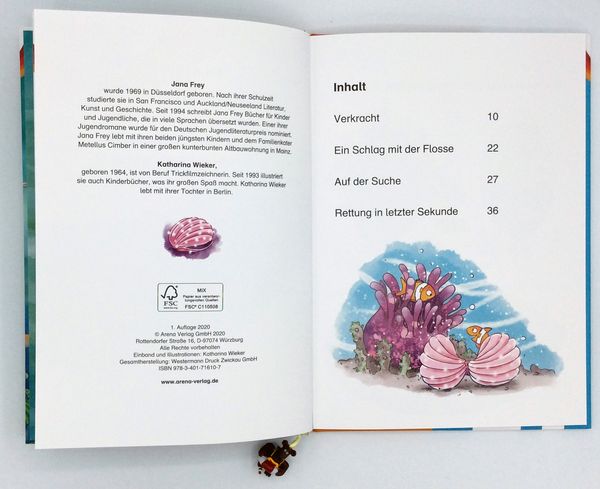 Zwei Meermädchen und ein flossenstarkes Abenteuer