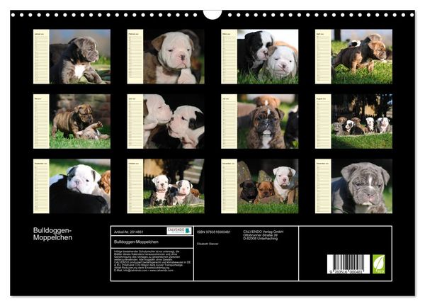 Produktbild: Bulldoggen-Moppelchen (Wandkalender 2026 DIN A3 quer), CALVENDO Monatskalender