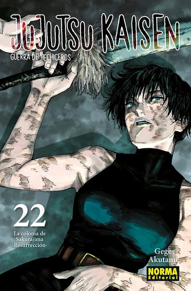 Produktbild: Jujutsu Kaisen 22