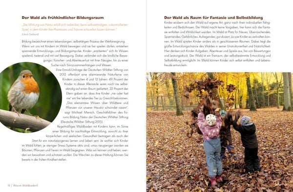 Produktbild: Waldbaden mit Kindern