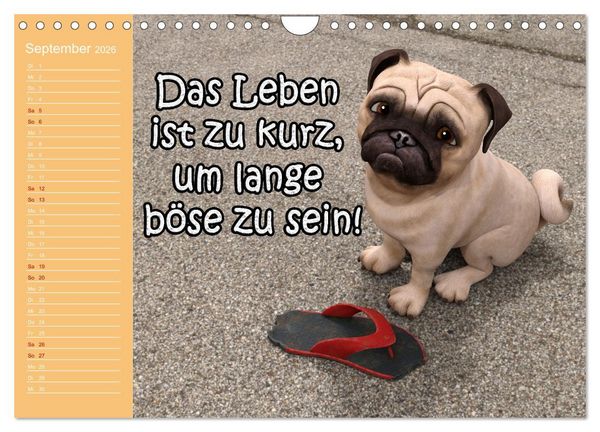 Produktbild: Tierische Toons (Wandkalender 2026 DIN A4 quer), CALVENDO Monatskalender