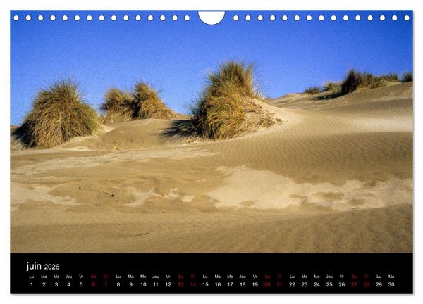 Produktbild: Nature sud de la France (Calendrier mural 2026 DIN A4 vertical), CALVENDO calendrier mensuel