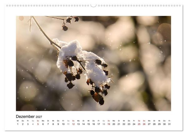 Produktbild: Zauber verg&auml;nglicher Bl&uuml;ten (hochwertiger Premium Wandkalender 2027 DIN A2 quer), Kunstdruck in Hochglanz