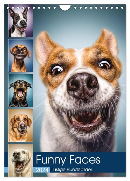 Funny Faces - Lustige Hundebilder (Wandkalender 2024 DIN A4 hoch), CALVENDO Monatskalender