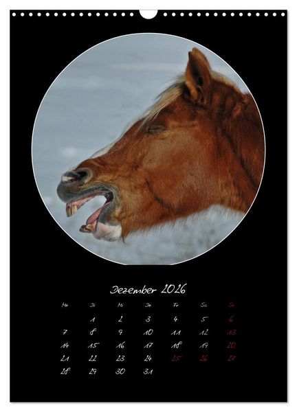 Produktbild: Crazy horses (Wandkalender 2026 DIN A3 hoch), CALVENDO Monatskalender