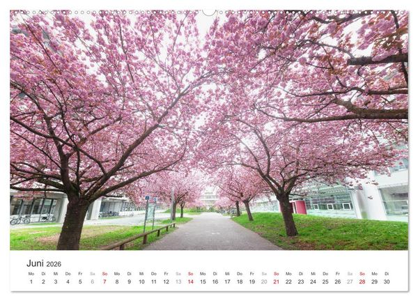 Produktbild: Heidelberg im Fokus (hochwertiger Premium Wandkalender 2026 DIN A2 quer), Kunstdruck in Hochglanz