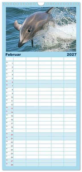 Produktbild: Familienplaner 2027 - Delfine: Elegante Wellenreiter mit 5 Spalten (Wandkalender, 21 x 45 cm) CALVENDO