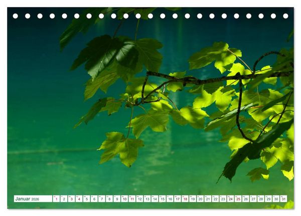Produktbild: GR&Uuml;N . Die Kraft der Natur (Tischkalender 2026 DIN A5 quer), CALVENDO Monatskalender
