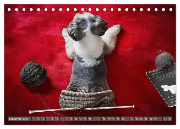 Produktbild: Stricken einmal anders (Tischkalender 2026 DIN A5 quer), CALVENDO Monatskalender