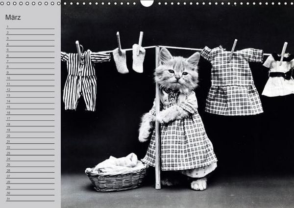 Produktbild: Katzen und Hunde - Nostalgie auf Pfoten (Wandkalender immerw&auml;hrend DIN A3 quer)