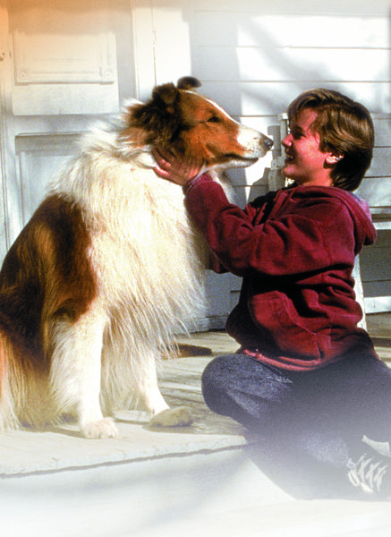 Produktbild: Lassie - Freunde f&uuml;rs Leben