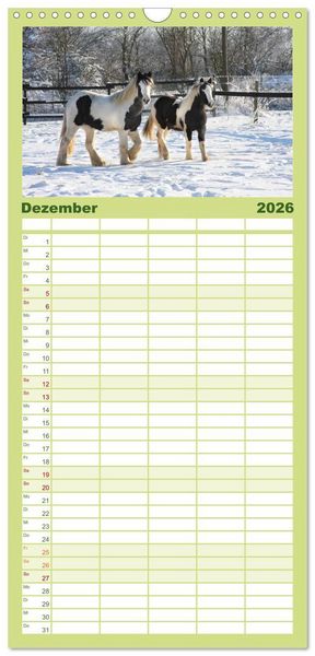 Produktbild: Familienplaner 2026 - Irish Tinker mit 5 Spalten (Wandkalender, 21 x 45 cm) CALVENDO
