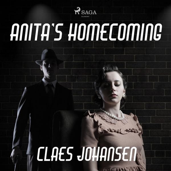 Anita's Homecoming - Claes Johansen, Audio, 9788726305869