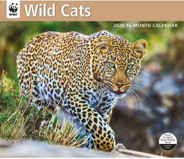 Produktbild: WWF Wild Cats