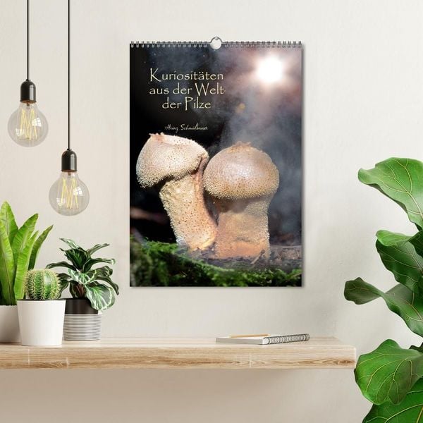 Produktbild: Kuriosit&auml;ten aus der Welt der Pilze (Wandkalender 2027 DIN A3 hoch), CALVENDO Monatskalender