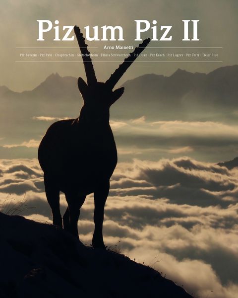 Produktbild: Piz um Piz II