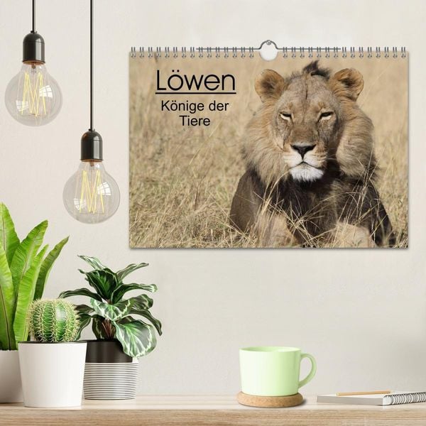 Produktbild: L&ouml;wen - K&ouml;nige der Tiere (Wandkalender 2026 DIN A4 quer), CALVENDO Monatskalender