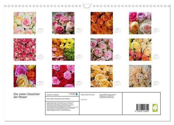 Produktbild: Die vielen Gesichter der Rosen (Wandkalender 2026 DIN A3 quer), CALVENDO Monatskalender