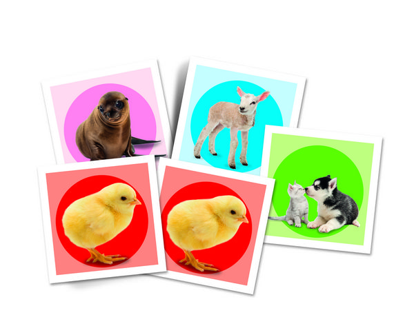 Produktbild: Kinderspiel Disney Tierbabies Memo Kompakt mit 48 Karten