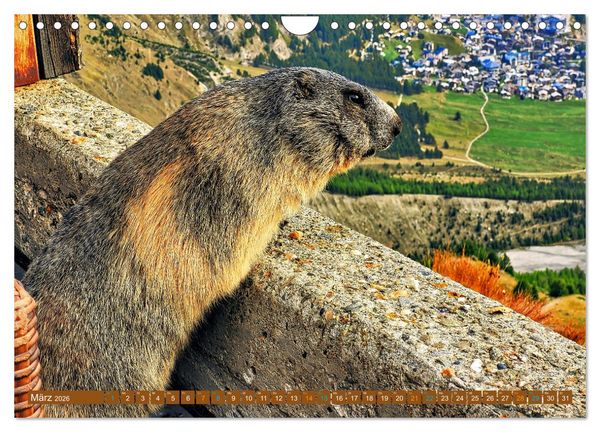 Produktbild: Hotspots im Wallis - Schweiz (Wandkalender 2026 DIN A4 quer), CALVENDO Monatskalender