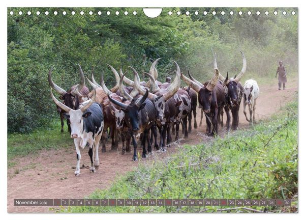 Produktbild: Geheimtipp Uganda (Wandkalender 2026 DIN A4 quer), CALVENDO Monatskalender