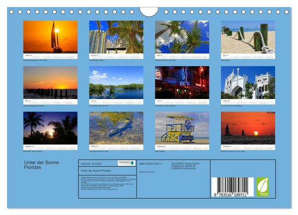 Produktbild: Unter der Sonne Floridas (Wandkalender 2026 DIN A4 quer), CALVENDO Monatskalender