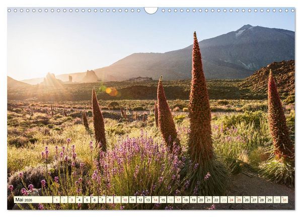 Produktbild: Teneriffa Entspannung Pur (Wandkalender 2026 DIN A3 quer), CALVENDO Monatskalender