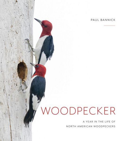 Produktbild: Woodpecker