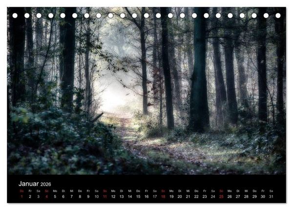 Produktbild: Mystische W&auml;lder (Tischkalender 2026 DIN A5 quer), CALVENDO Monatskalender