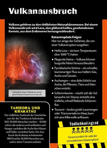 Produktbild: Die 100 tödlichsten Dinge der Welt