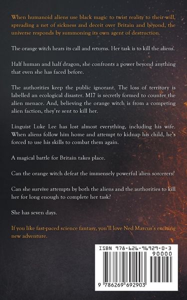 Produktbild: The Orange Witch