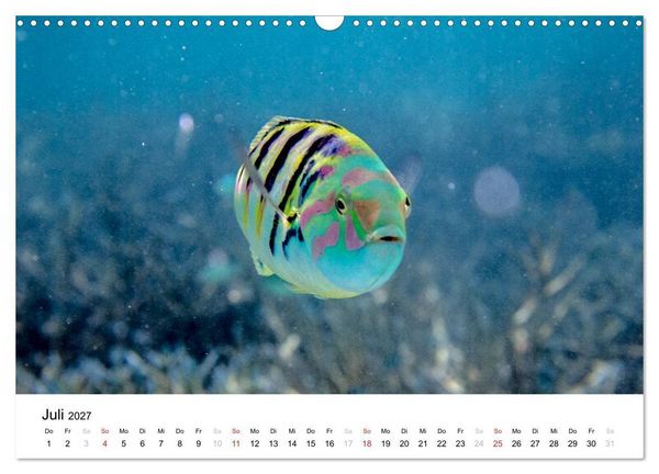 Produktbild: Malediven - Das Paradies im Indischen Ozean I (Wandkalender 2027 DIN A3 quer), CALVENDO Monatskalender